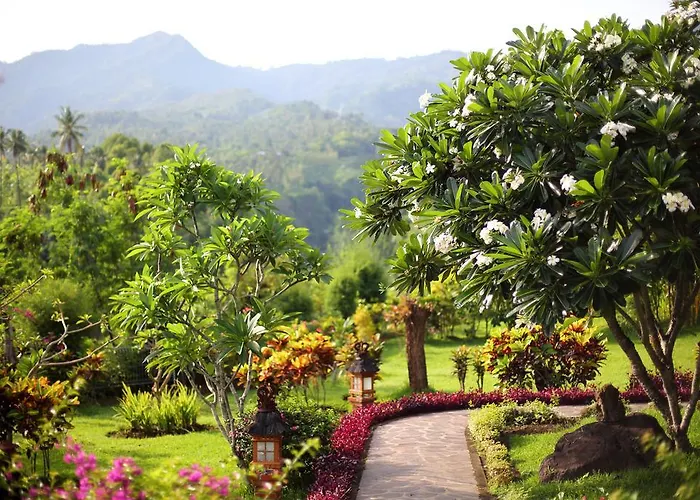 Shanti Natural Panorama View Singaraja