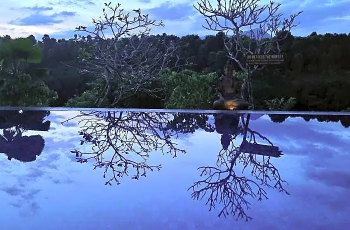 Shanti Natural Panorama View 5*