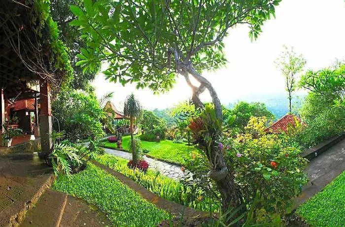 Shanti Natural Panorama View Singaraja