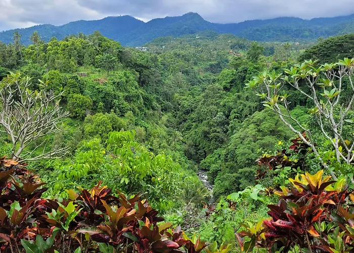 Shanti Natural Panorama View 5* Singaraja