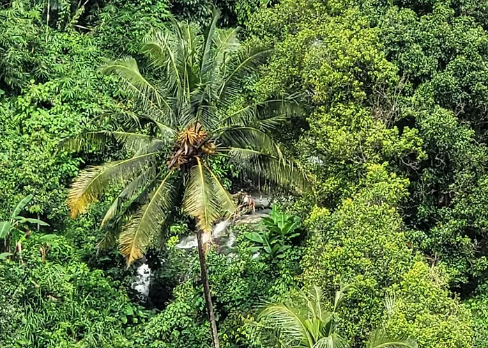 Shanti Natural Panorama View 5*